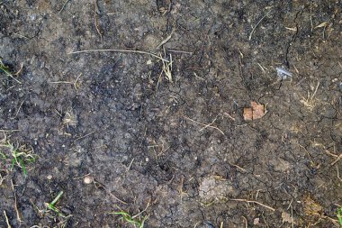 Üzerinde yaprak olan kirli bir yere yakın çekim. Yaprak kahverengidir ve zemin karanlıktır.