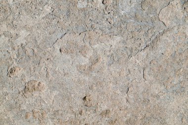 Bir sürü deliği olan gri ve beyaz bir taş duvar. Duvar pürüzlü ve düzensiz. Delikler duvarın her tarafına dağılmış. Bazıları küçük, bazıları büyük. Duvar eski ve yıpranmış görünüyor.