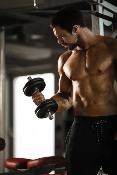 Fitness en gimnasio, deporte y estilo de vida saludable. Hombre atlético manipulador que hace ejercicios. Bodybuilder macho modelo de entrenamiento biceps músculos con campanas de dumbbell. —  Fotos de Stock