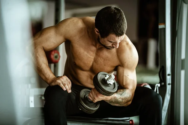 Fitness in gym, sport and healthy lifestyle concept. Handsome athletic man with naked torso making exercises. Bodybuilder male model training biceps muscles with dumbbell — Stock Photo, Image