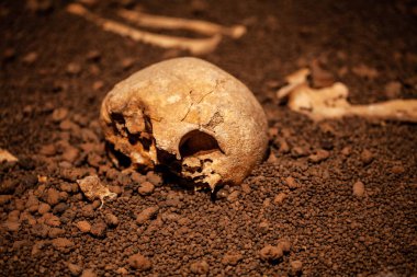 Kafatası ve kemikler loş ışık olan korkunç mezarlıkta çukurdan digged. Natürmort ve sanat imgesi