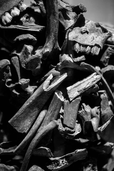 Huesos Cráneo Excavados Desde Hoyo Cementerio Miedo Que Tiene Poca —  Fotos de Stock
