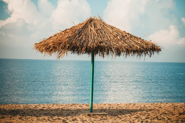 Sonnenschirm Aus Schilf Strand Sommerstimmung Beste Strand Stimmung — Stockfoto