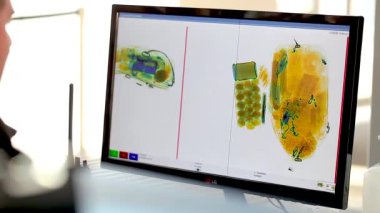 Havaalanı güvenlik tarayıcısı. Girişte güvenlik taraması. Uçuş öncesi teftiş. Bagajda güvenlik kontrolü yapıldı. Bagaj bandı ve X-ray cihazı ile havaalanlarında öncelikli bagaj kontrolü.