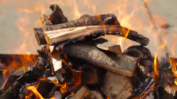 Bois Chauffage Bouleau Brûle Dans Barbecue Jour Printemps Ensoleillé Personne — Video