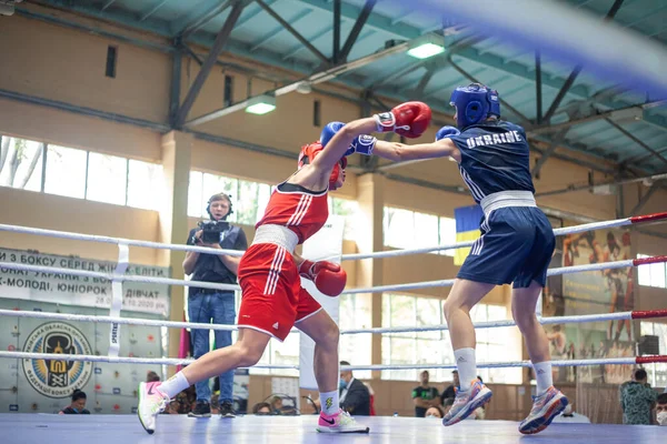 Copa Boxeo Ucraniano Entre Mujeres Élite Campeonato Boxeo Ucraniano Entre — Foto de Stock