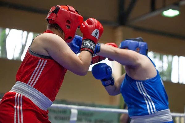 Copa Boxeo Ucraniano Entre Mujeres Élite Campeonato Boxeo Ucraniano Entre —  Fotos de Stock