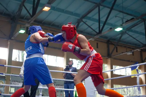 Copa Boxeo Ucraniano Entre Mujeres Élite Campeonato Boxeo Ucraniano Entre —  Fotos de Stock