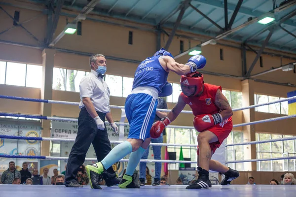 Copa Boxeo Ucraniano Entre Mujeres Élite Campeonato Boxeo Ucraniano Entre —  Fotos de Stock