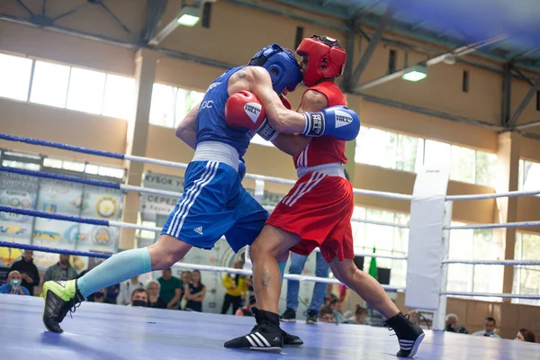 Coupe Ukraine Boxe Chez Les Femmes Élite Championnat Ukraine Boxe — Photo