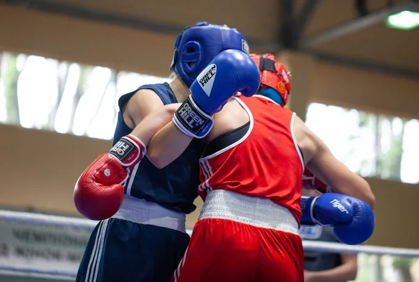 Copa Boxeo Ucraniano Entre Mujeres Élite Campeonato Boxeo Ucraniano Entre —  Fotos de Stock