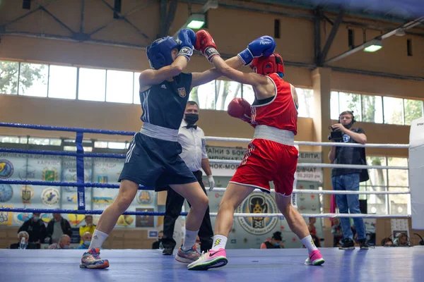 Coupe Ukraine Boxe Chez Les Femmes Élite Championnat Ukraine Boxe — Photo