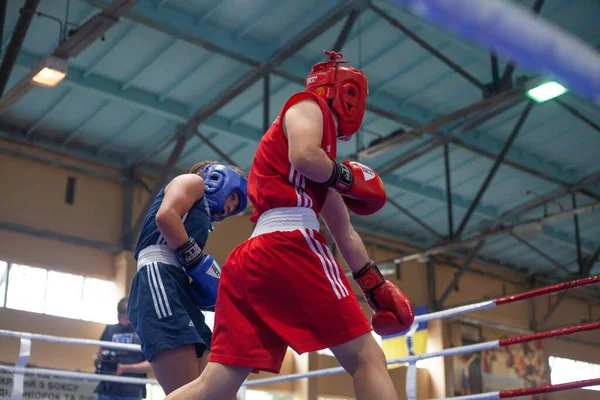 Coupe Ukraine Boxe Chez Les Femmes Élite Championnat Ukraine Boxe — Photo