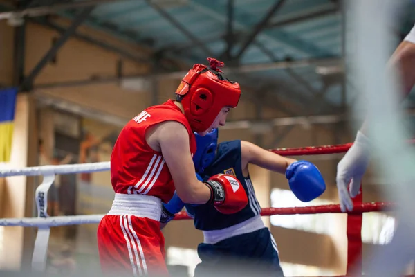 Copa Boxeo Ucraniano Entre Mujeres Élite Campeonato Boxeo Ucraniano Entre —  Fotos de Stock