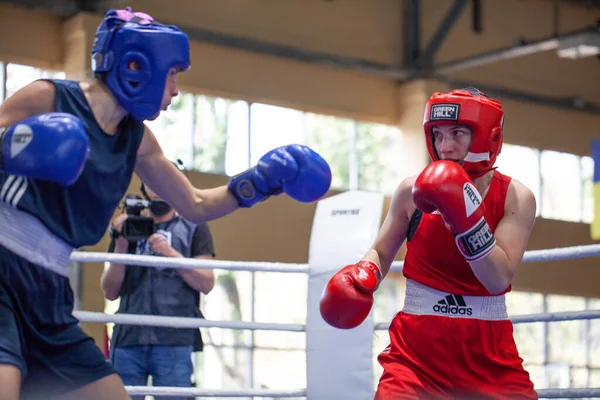 Copa Boxeo Ucraniano Entre Mujeres Élite Campeonato Boxeo Ucraniano Entre —  Fotos de Stock