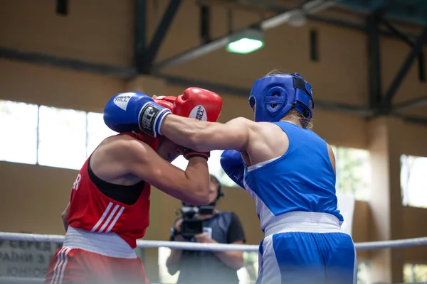 Copa Boxeo Ucraniano Entre Mujeres Élite Campeonato Boxeo Ucraniano Entre —  Fotos de Stock