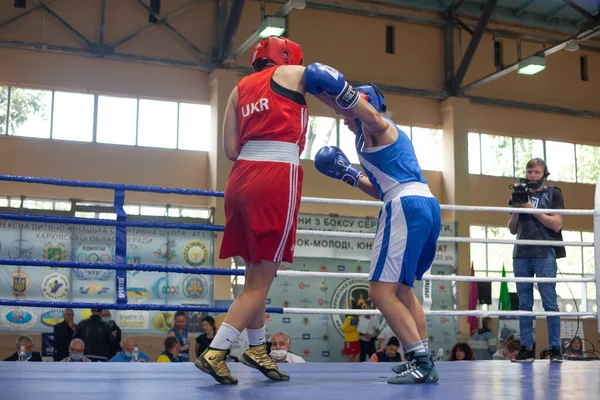 Copa Boxeo Ucraniano Entre Mujeres Élite Campeonato Boxeo Ucraniano Entre —  Fotos de Stock
