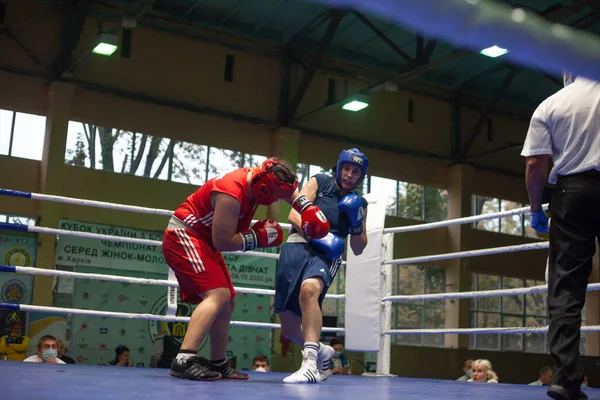 Ukrainska Boxning Cup Bland Elit Kvinnor Ukrainska Boxning Mästerskap Bland — Stockfoto