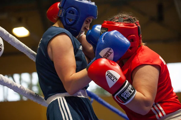 Ukrainska Boxning Cup Bland Elit Kvinnor Ukrainska Boxning Mästerskap Bland — Stockfoto