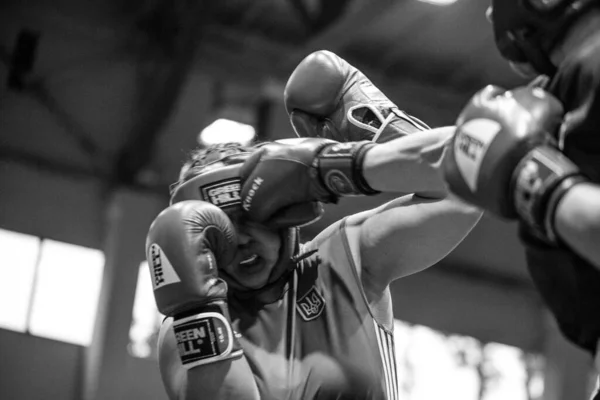 Ukrainian Boxing Cup Elite Women Ukrainian Boxing Championship Young Women — Stock Photo, Image