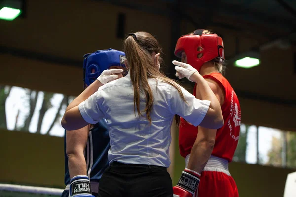 Copa Boxeo Ucraniano Entre Mujeres Élite Campeonato Boxeo Ucraniano Entre — Foto de Stock