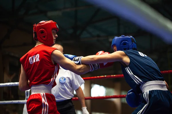 Ukrainska Boxning Cup Bland Elit Kvinnor Ukrainska Boxning Mästerskap Bland — Stockfoto