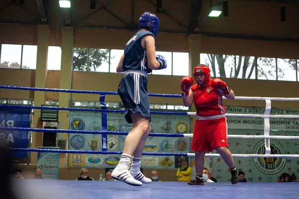 Copa Boxeo Ucraniano Entre Mujeres Élite Campeonato Boxeo Ucraniano Entre —  Fotos de Stock