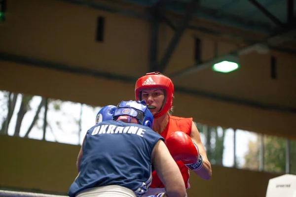 Coupe Ukraine Boxe Chez Les Femmes Élite Championnat Ukraine Boxe — Photo