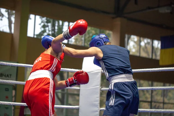 Coupe Ukraine Boxe Chez Les Femmes Élite Championnat Ukraine Boxe — Photo