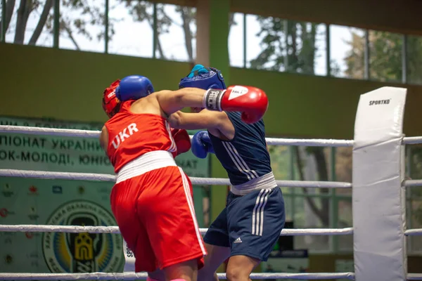 Кубок Украины Боксу Среди Элитных Женщин Чемпионат Украины Боксу Среди — стоковое фото