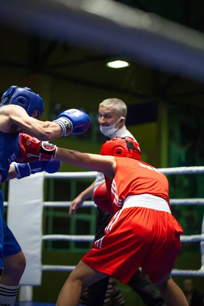 Copa Boxeo Ucraniano Entre Mujeres Élite Campeonato Boxeo Ucraniano Entre —  Fotos de Stock