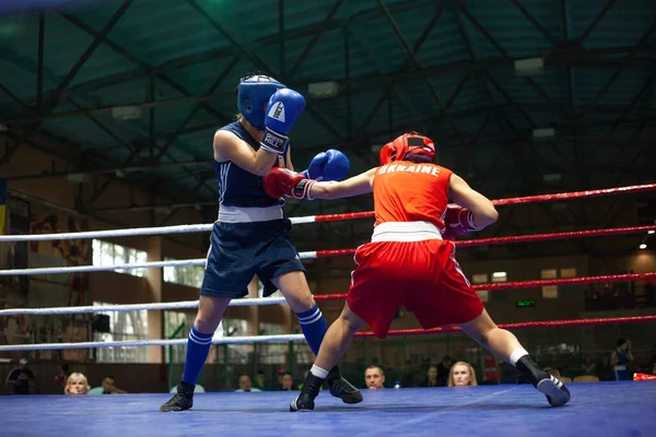 Copa Boxeo Ucraniano Entre Mujeres Élite Campeonato Boxeo Ucraniano Entre — Foto de Stock