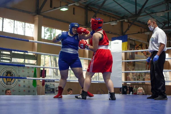 Coupe Ukraine Boxe Chez Les Femmes Élite Championnat Ukraine Boxe — Photo