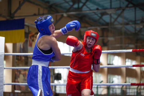 Copa Boxeo Ucraniano Entre Mujeres Élite Campeonato Boxeo Ucraniano Entre —  Fotos de Stock