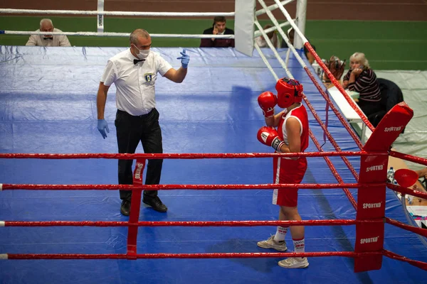 Copa Boxeo Ucraniano Entre Mujeres Élite Campeonato Boxeo Ucraniano Entre — Foto de Stock