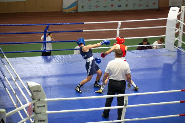 Ukrán Boxing Cup Között Elit Nők Ukrán Boksz Bajnokság Között — Stock Fotó