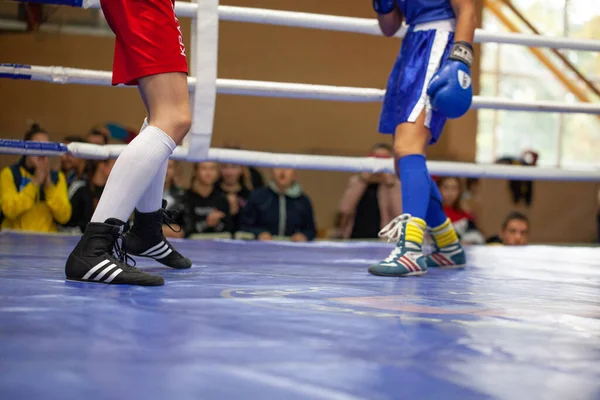 Ukrainischer Boxpokal Für Elite Frauen Ukrainische Boxmeisterschaft Für Junge Frauen — Stockfoto