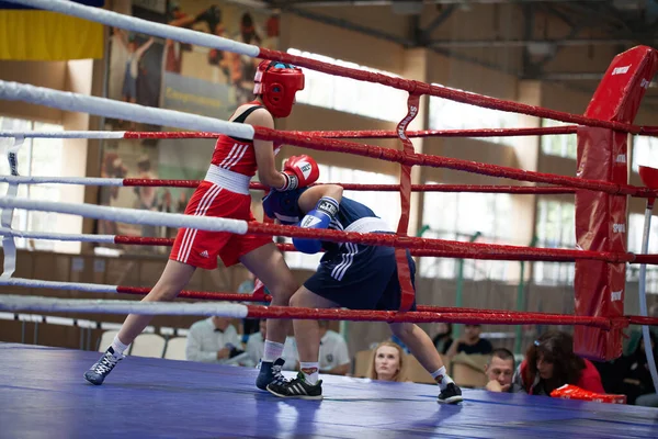 Copa Boxeo Ucraniano Entre Mujeres Élite Campeonato Boxeo Ucraniano Entre —  Fotos de Stock