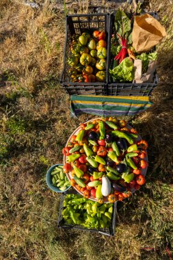 Yerde domates, biber ve salatalık da dahil olmak üzere bir sepet sebze var. Sebzeler onları taze ve davetkar gösterecek şekilde düzenlenmiş.