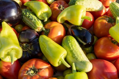 İçinde domates, salatalık ve biber olan sebzeler. Biberler yeşil ve kırmızı, salatalıklar yeşil.