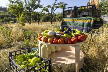Domates, biber ve kabakla dolu bir masa. Masa sebze sandıklarıyla çevrili.
