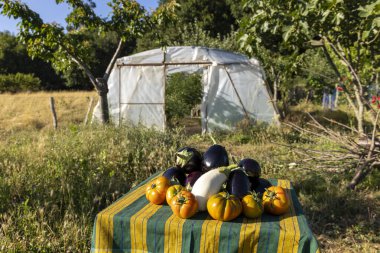 Domates, patlıcan ve biber gibi çeşitli sebzelerle dolu bir masa. Sebzeler renkli ve davetkar bir şekilde düzenlendi.