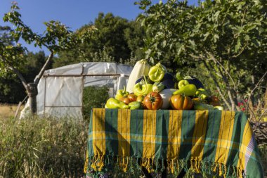 Biber ve domates de dahil olmak üzere çeşitli sebzelerle dolu bir masa. Masa arka planda bir serayla birlikte bir tarlaya kurulmuş. Tazelik ve bolluk kavramı