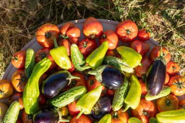 Domates, salatalık ve biber gibi çeşitli sebzeler üst üste yığılır.