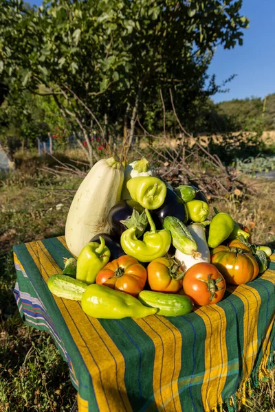 Domates, biber ve kabakla dolu bir masa. Masa örtüsü yeşil ve sarı.