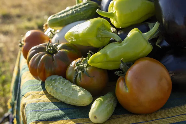 Masada domates, salatalık ve biber gibi çeşitli sebzeler sergilenir. Bereket ve tazelik kavramı, sebzeler olgunlaşmış ve yenmeye hazır.