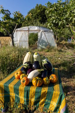 Domates, kabak ve patlıcan gibi çeşitli sebzelerle dolu bir masa. Sebzeler renkli ve davetkar bir şekilde düzenlendi.