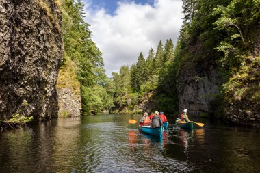İskoçya, Birleşik Krallık, 4 Ağustos 2025: Bir grup insan bir nehirde kürek çekiyor. Ağaçlar kıvrılıyor nehir kenarları gür ve yemyeşil.