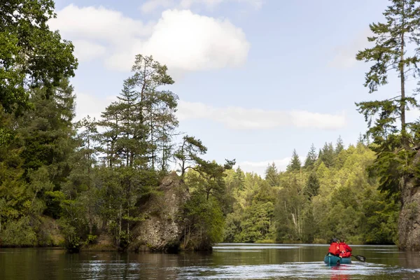 İskoçya, Birleşik Krallık, 4 Ağustos 2025: Kırmızı kanodaki bir adam ağaçlarla çevrili bir nehirde kürek çekiyor.