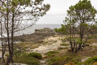 Önünde birkaç ağaç olan kayalık bir kıyı şeridi. Ağaçlar çıplak ve gökyüzü kapalı.